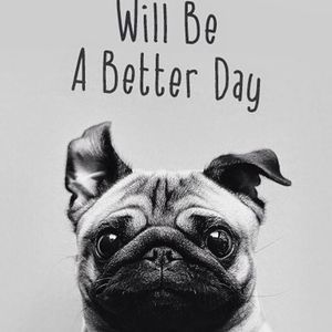 Meet your Posher, Lilly